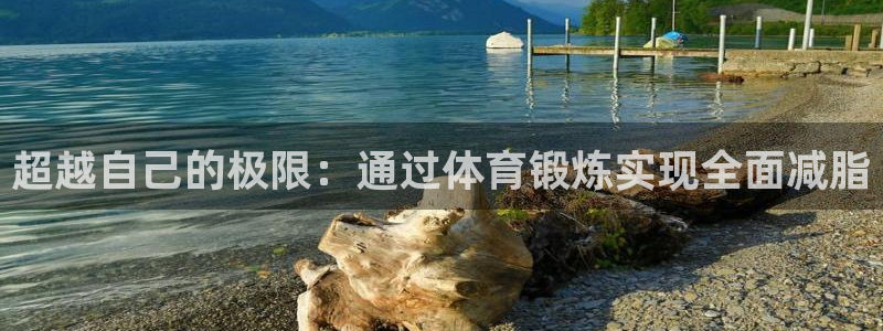 zyty中欧体育平台