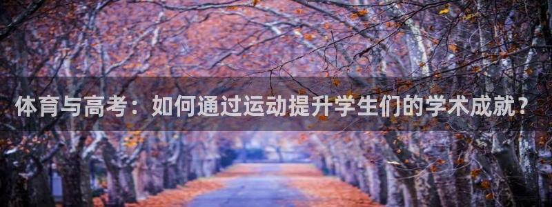 中欧体育平台