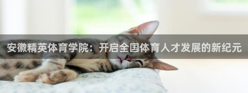 中欧体育李勇鸿