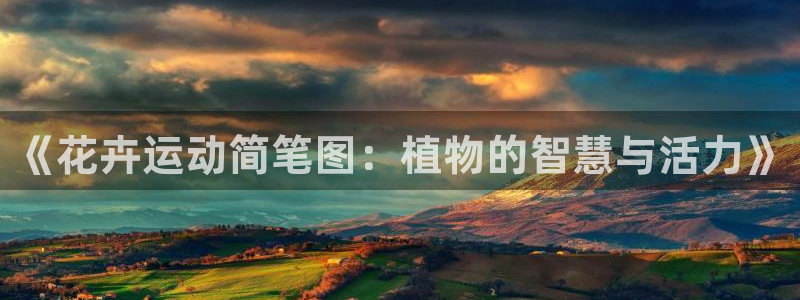 中欧体育zoty下载