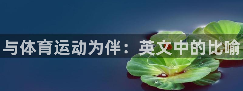 kok中欧体育