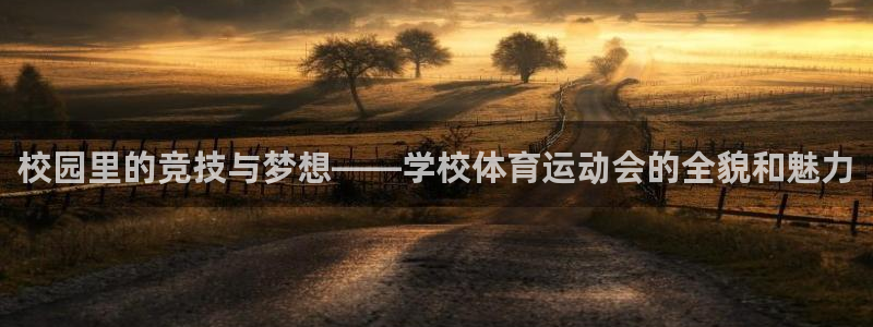 中欧体育官网入口：校园里的竞技与梦想——学校体育运动会的全貌和魅力
