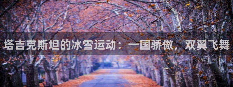 中欧体育app：塔吉克斯坦的冰雪运动：一国骄傲，双翼飞舞