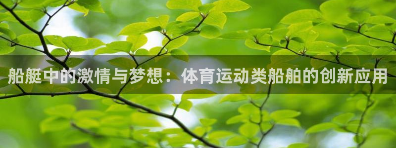 中欧体育zoty下载：船艇中的激情与梦想：体育运动类船舶的创新应用