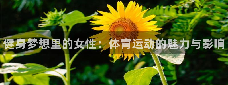 中欧体育ac米兰：健身梦想里的女性：体育运动的魅力与影响