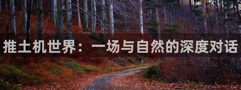 中欧体育网页版：推土机世界：一场与自然的深度对话